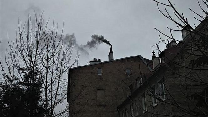 Smog