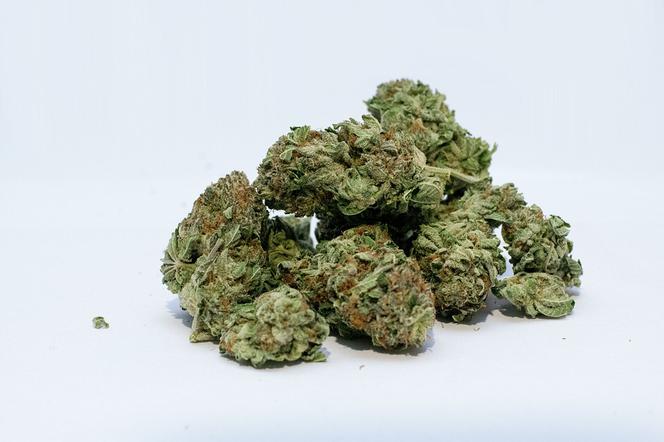 marihuana