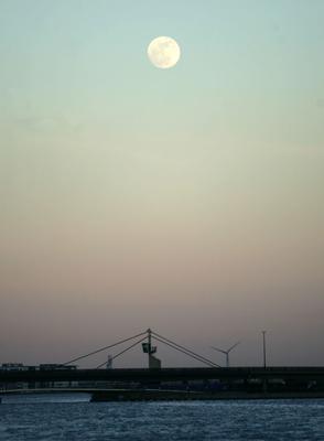 Blue Moon
