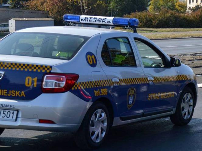 65-letni GOLAS w centrum Poznania! Pokazywał PENISA w sklepie i na przystanku. Interweniowała Straż Miejska