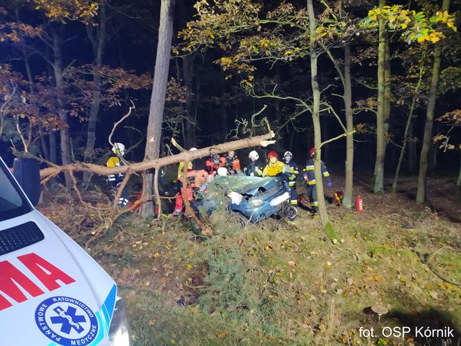 ŚMIERĆ dwóch 18-latków! Nocny dramat na drodze pod Poznaniem