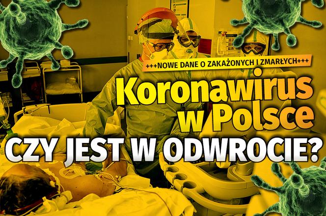 Zajawka LICZBA DNIA 1 12
