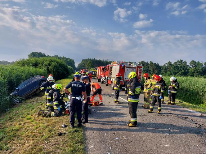 Śmiertelny wypadek w miejscowości Wygoda pod Radomskiem