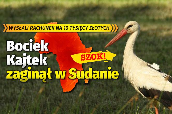 Bociek Kajtek zginął w Sudanie