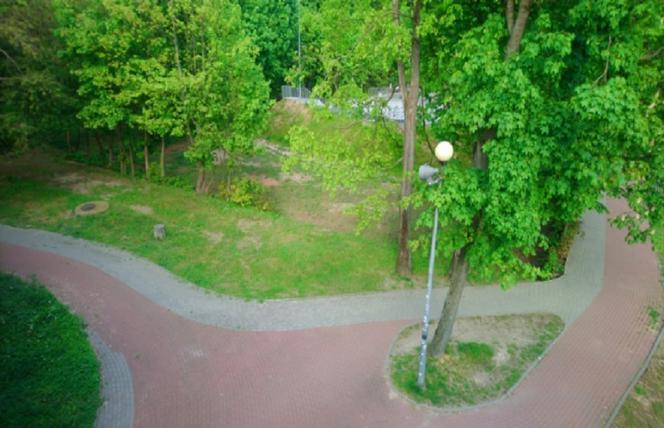 gorzów park koper1