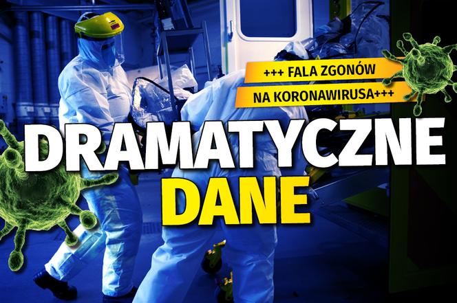 zajawka rekord 25 11