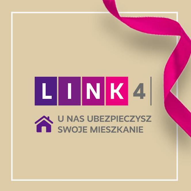 Link 4