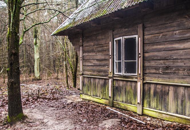 Mieszka pod Przysuchą w drewnianym domku bez łazienki! Ośrodek pomocy społecznej chciał pieniędzy, choć nie miał prawa!