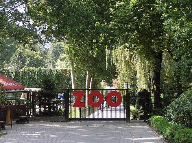 Funkcjonariusze i osadzeni z areszt śledczego pomagają w krakowskim Zoo