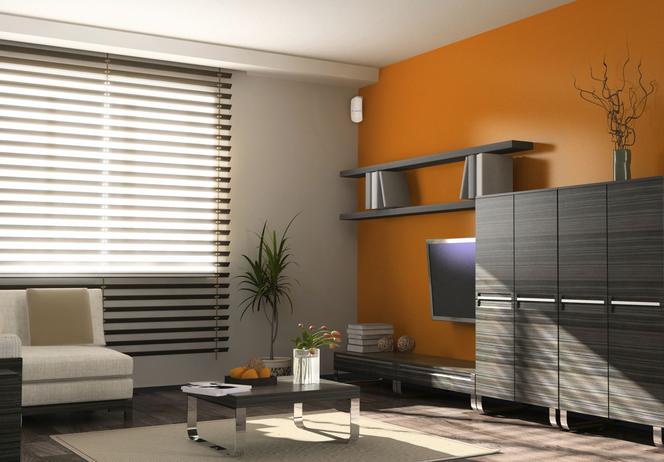 Czujki ruchu Satel Slim Line