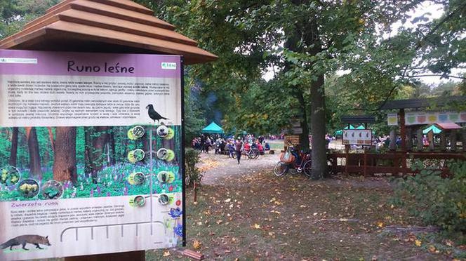 Toruń. Rowerem na Barbarkę. Kto wybuduje ścieżkę?