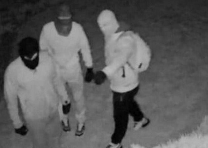 Włamywacze terroryzują osiedle
