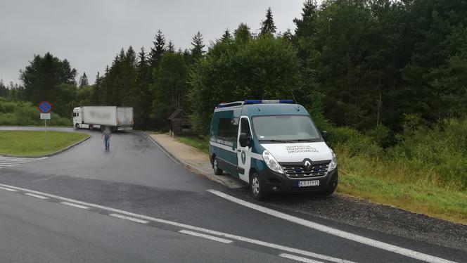 Przewoził kwiaty i dopuścił się szeregu naruszeń