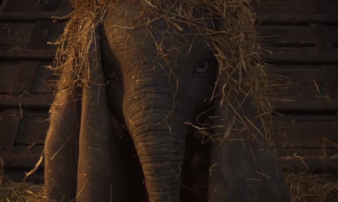 Dumbo Tima Burtona: zobacz zwiastun aktorskiej wersji filmu! Kiedy premiera?