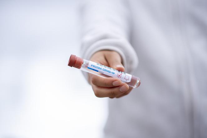covid koronawirus test