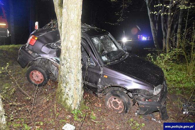 17-latka zginęła w majówkę. Kolega roztrzaskał się na drzewie