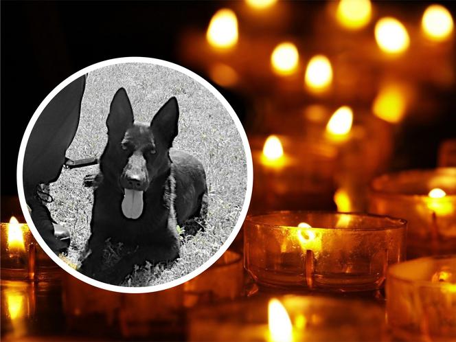 Włocławek: Ogromna strata w szeregach policji! Na ratunek było już za późno