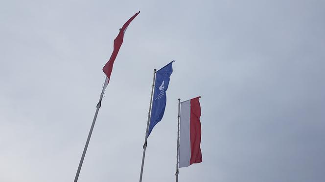 QUIZ. Uniwersytet Mikołaja Kopernika potrafi zaskoczyć! Myślisz, że wiesz o nim wszystko?