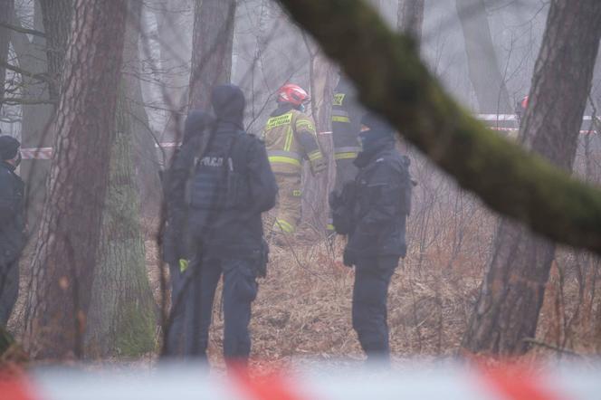 Katastrofa lotnicza w Pszczynie