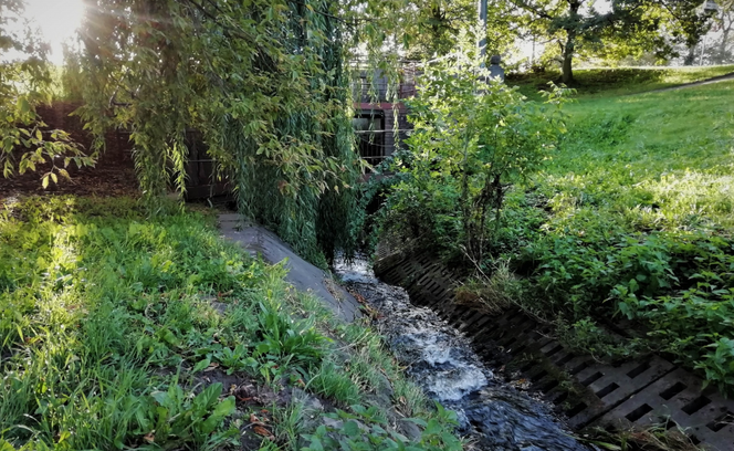 Bogdanka