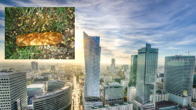 Warszawa: Granat na Białołęce! Znaleziono niewybuch z czasów II wojny światowej