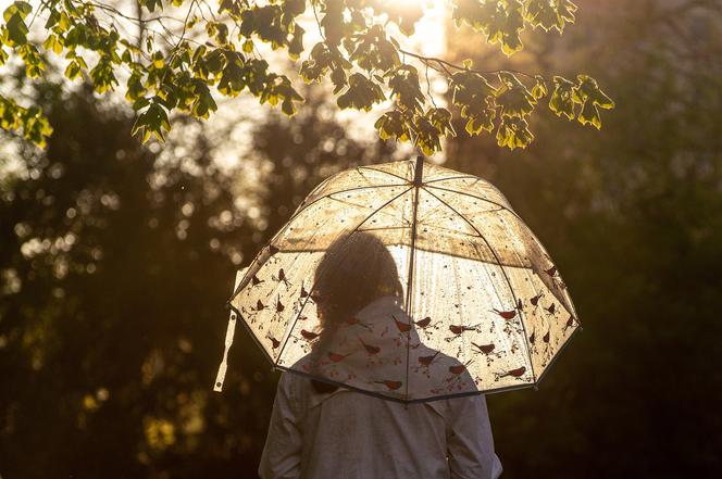 Pogoda na: 23.07.2021. Co mówią prognozy IMGW? Prognoza pogody dla Polski