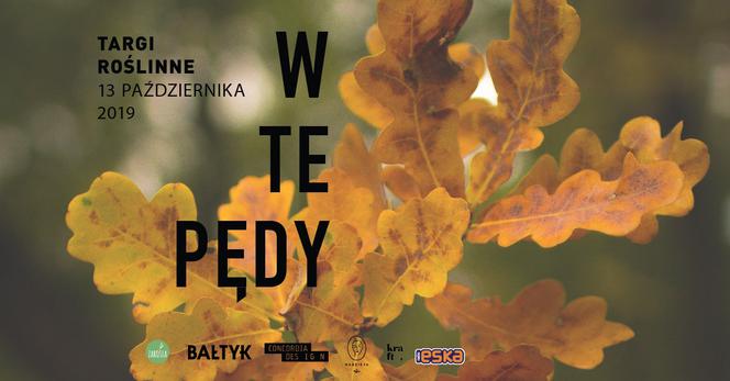 W te pędy - zdjęcie ilustracyjne