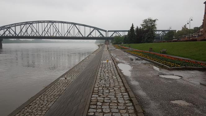 Wisła w Toruniu - stan na 28 maja, ok. godziny 20:00