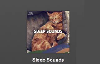 Kanał Sleep Sounds Spotify