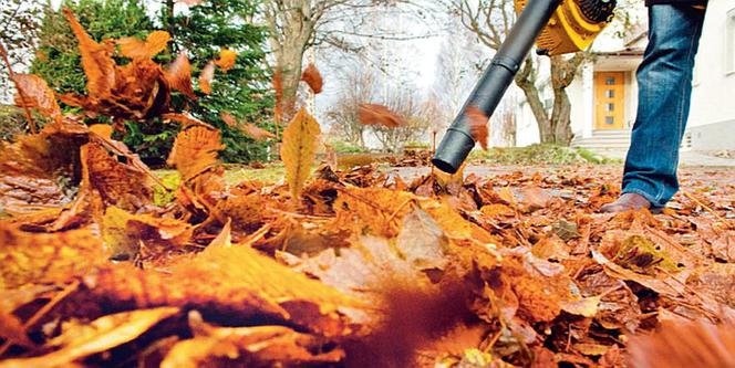 Porządki po sezonie. Narzędzia do sprzątania - przegląd