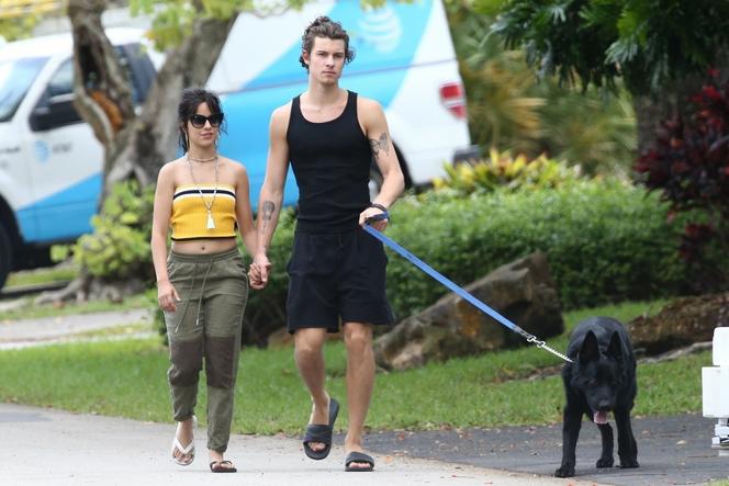 Shawn Mendes i Camila Cabello z psem