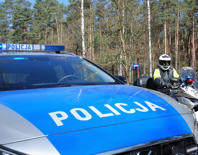 policja ostrów