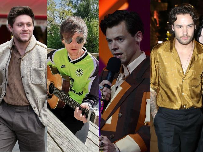 Niall Horan, Louis Tomlinson, Harry Styles, Liam Payne
