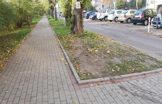widok pijany1