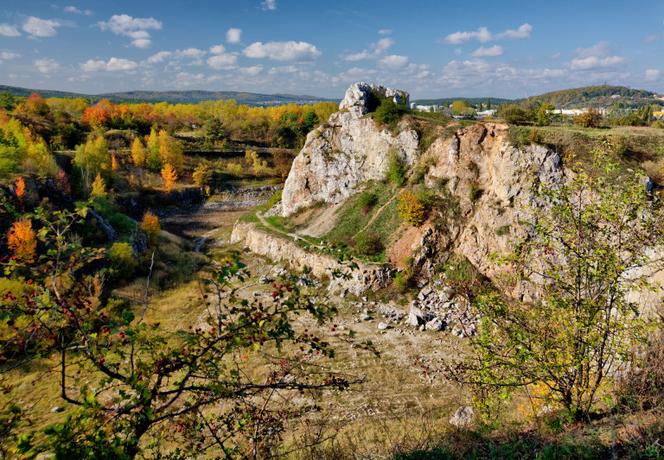 Rezerwat Kadzielnia