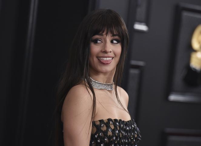 Shawn Mendes i Camila Cabello