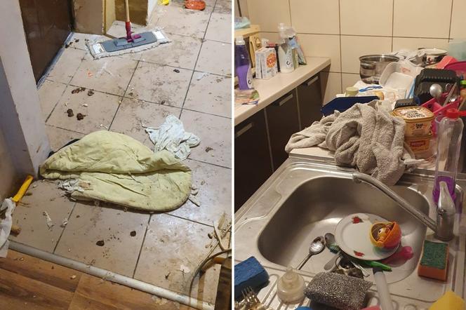 Piła: Dziecko 18-latki żyło wśród PSICH ODCHODÓW i starych pieluch
