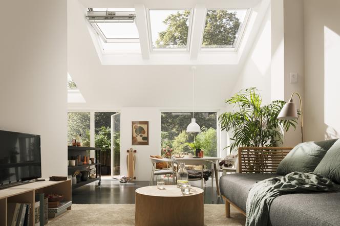 biophilic design