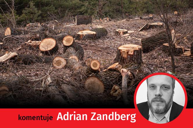 Zajawka OPINIE Zandberg SG
