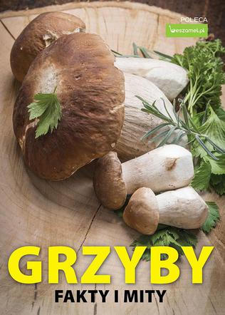Grzyby - fakty i mity