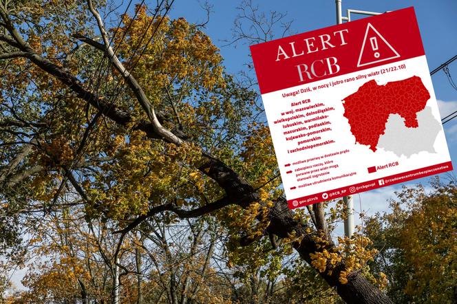 Alert RCB przed wichurami. Rząd ostrzega w SMS przed silnym wiatrem