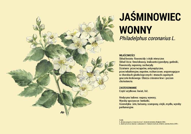 Przyrodnicza ścieżk aedukacyjna w Tokarni