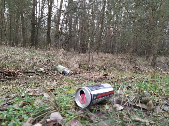 Młodzież z klas szóstych z sześciu szkół z terenu powiatu siedleckiego chce zadbać o to, by z lasów zniknęły śmieci