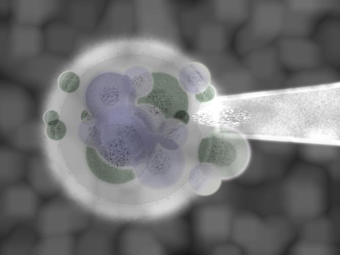 Ustawa o in vitro
