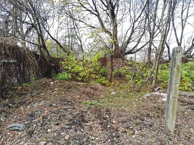 Park Stacja Wisła historia 1