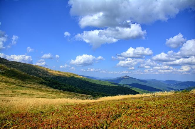 Wyjeżdżasz w Bieszczady? Koniecznie przeczytaj APEL BPN! Posypią się mandaty?
