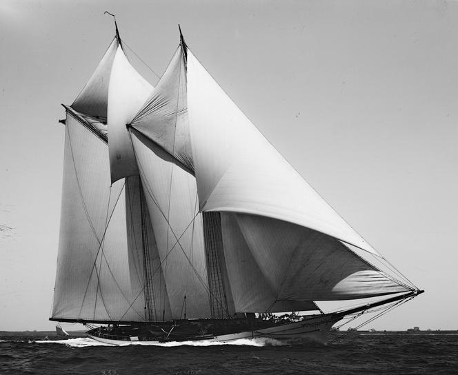 Yampa