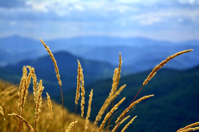 Bieszczady, góry,