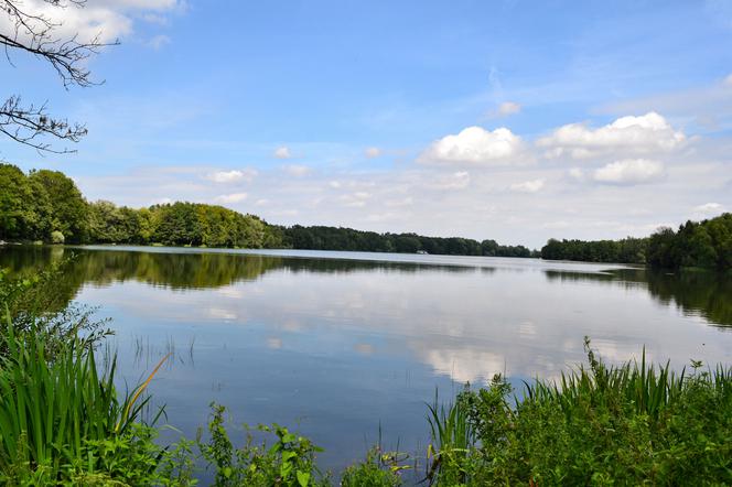 Jezioro, woda