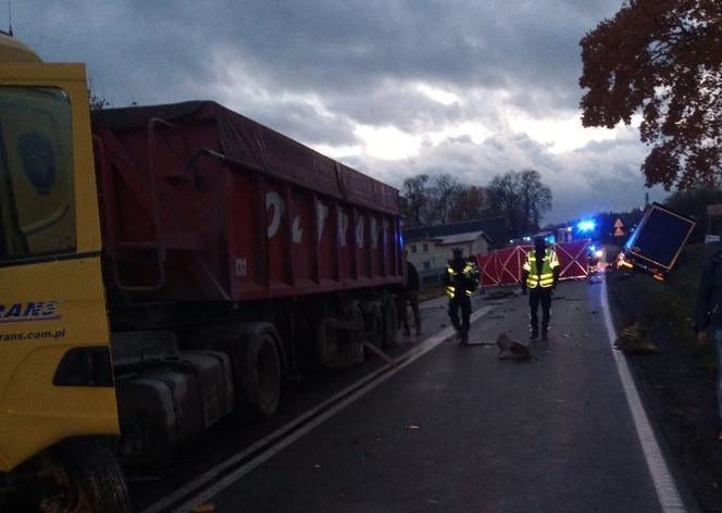 Tragedia w Pomorskiem! Czołowe zderzenie z tirem i śmierć na miejscu. Znamy szczegóły
